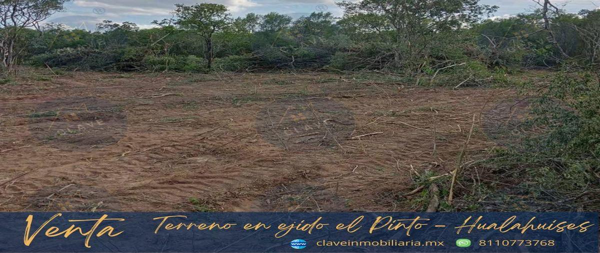 Foto de terreno habitacional en venta en  , el pinto, hualahuises, nuevo león, 0 No. 03
