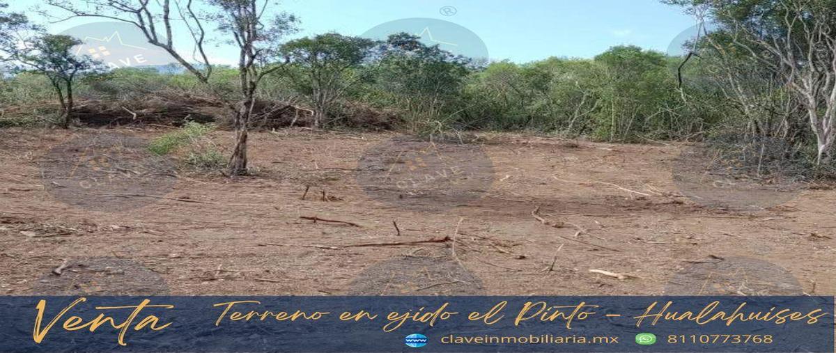 Foto de terreno habitacional en venta en  , el pinto, hualahuises, nuevo león, 0 No. 05