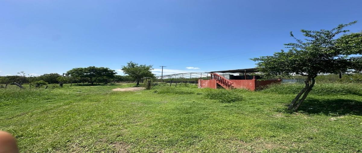 Foto de terreno habitacional en venta en  , el pinto, hualahuises, nuevo león, 0 No. 04