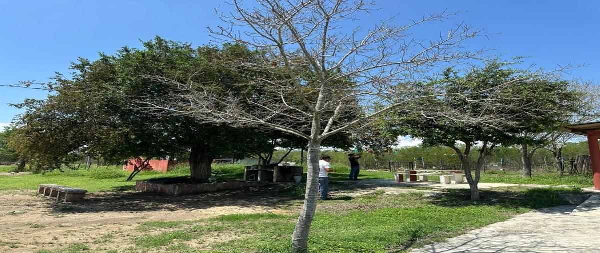 Foto de terreno habitacional en venta en  , el pinto, hualahuises, nuevo león, 0 No. 05