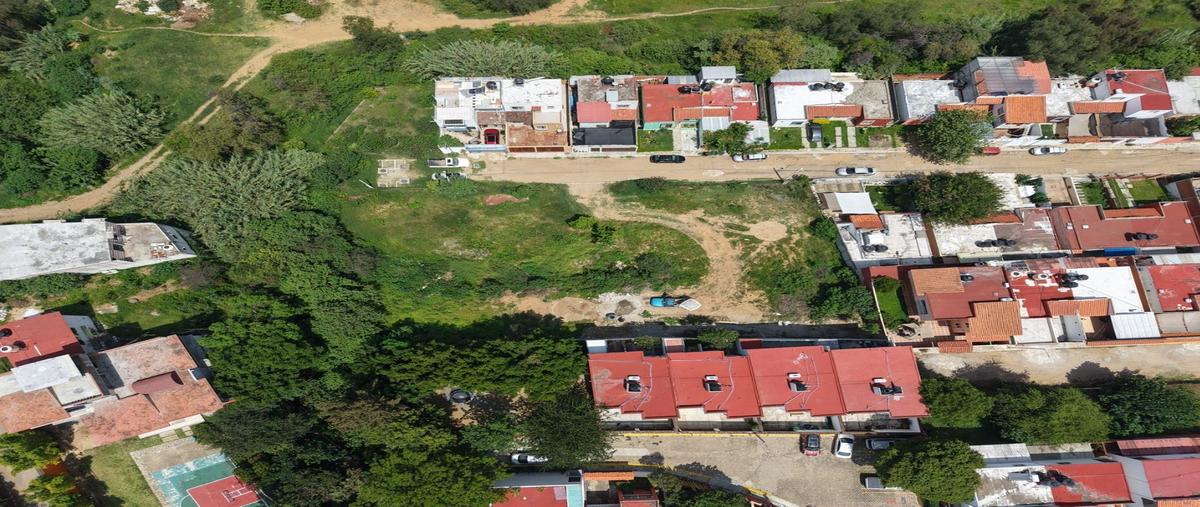 Foto de terreno habitacional en venta en  , el pipe, san andrés huayápam, oaxaca, 30150419 No. 03