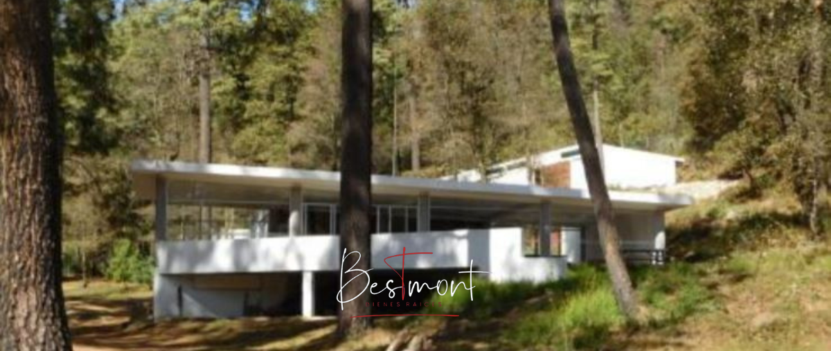 Foto de terreno habitacional en venta en el pipirín , santa rita tlahuapan, tlahuapan, puebla, 22260955 No. 04