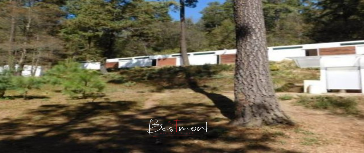 Foto de terreno habitacional en venta en el pipirín , santa rita tlahuapan, tlahuapan, puebla, 22260955 No. 05