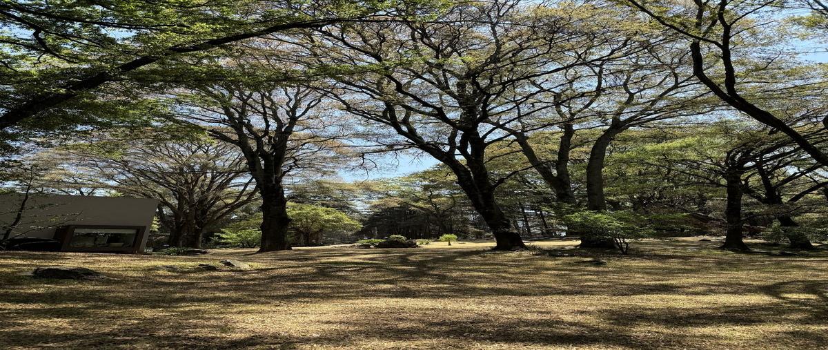 Foto de terreno habitacional en venta en  , el pirame, ocoyoacac, méxico, 27566686 No. 03