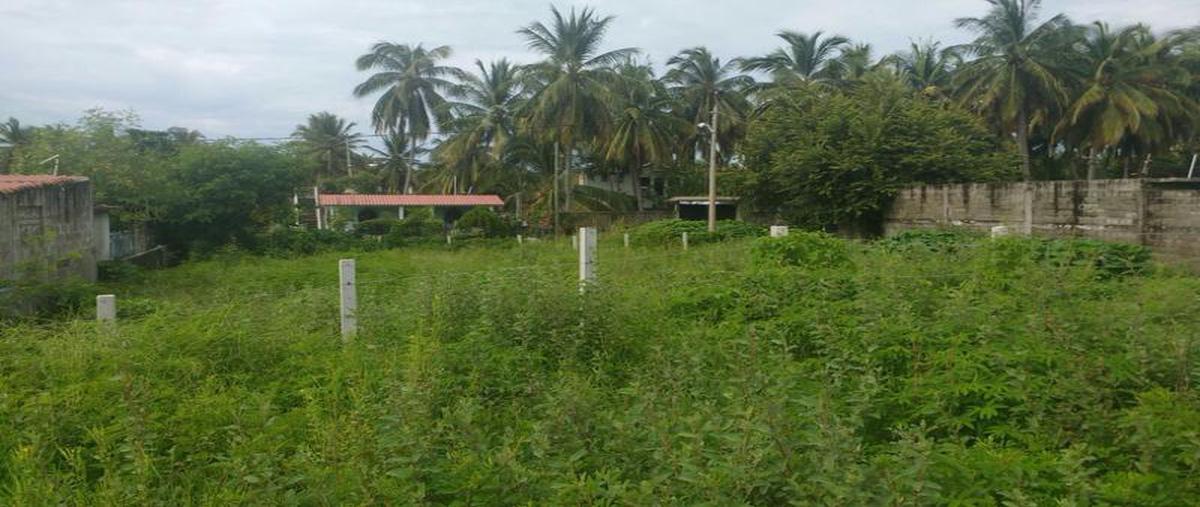 Foto de terreno habitacional en venta en  , el podrido, acapulco de juárez, guerrero, 7070408 No. 04