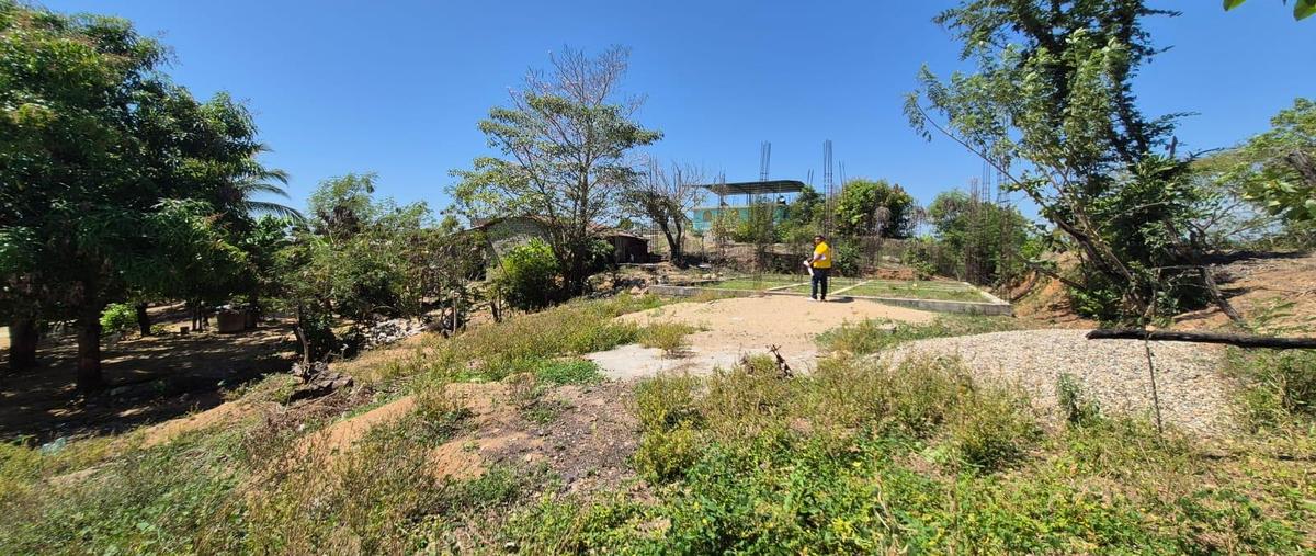 Foto de terreno habitacional en venta en  , el polvorín, marquelia, guerrero, 0 No. 03