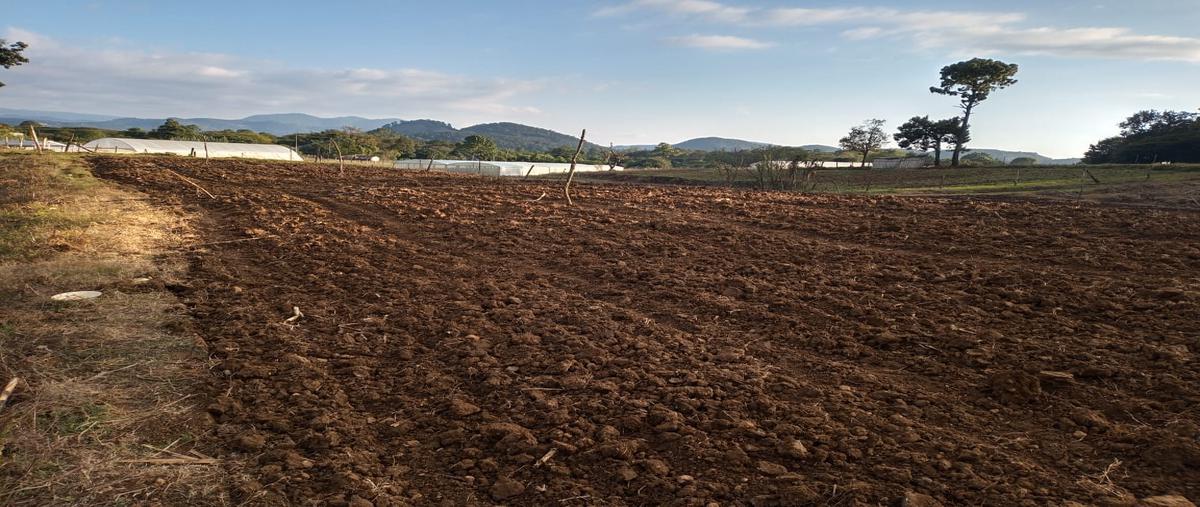 Foto de terreno habitacional en venta en el porvenir , campo santiago, teopisca, chiapas, 19969251 No. 03