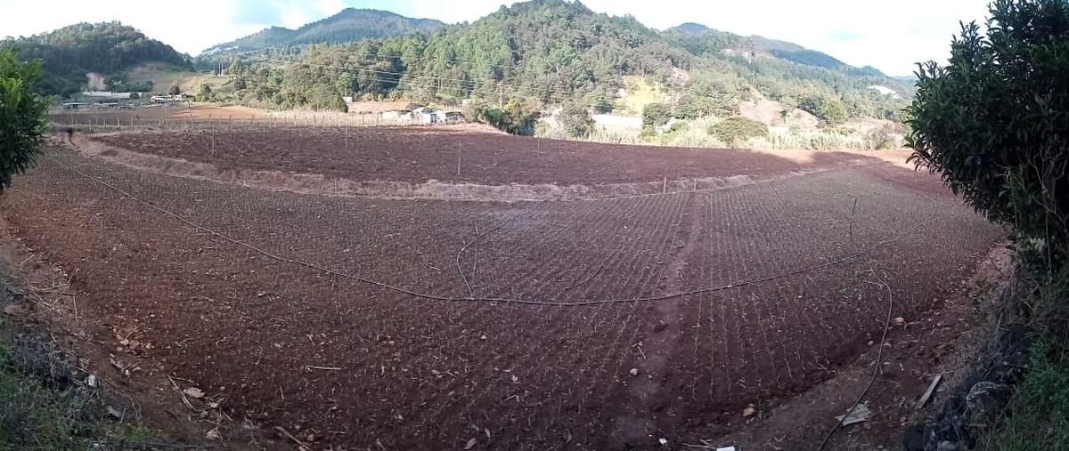 Foto de terreno habitacional en venta en el porvenir , campo santiago, teopisca, chiapas, 19969251 No. 05