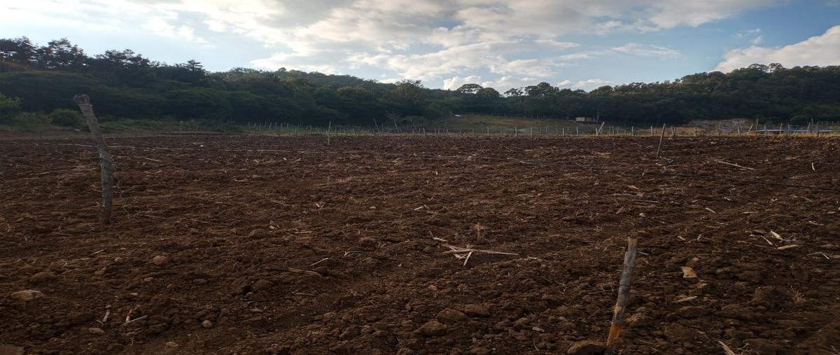 Foto de terreno habitacional en el porvenir , campo santiago, teopisca, chiapas, 0 foto 02 Foto de terreno habitacional en venta en el porvenir , campo santiago, teopisca, chiapas, 0 No. 02