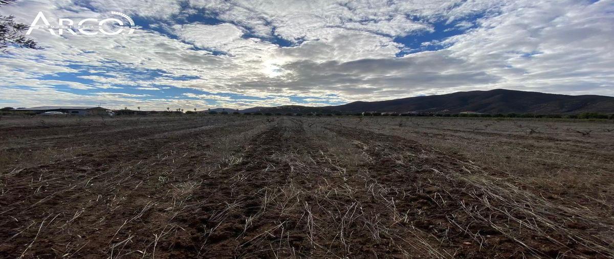 Foto de terreno habitacional en venta en  , el porvenir, ensenada, baja california, 0 No. 04