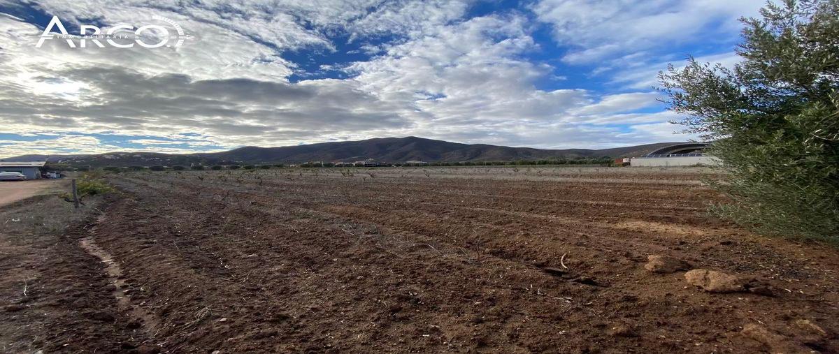 Foto de terreno habitacional en venta en  , el porvenir, ensenada, baja california, 0 No. 05