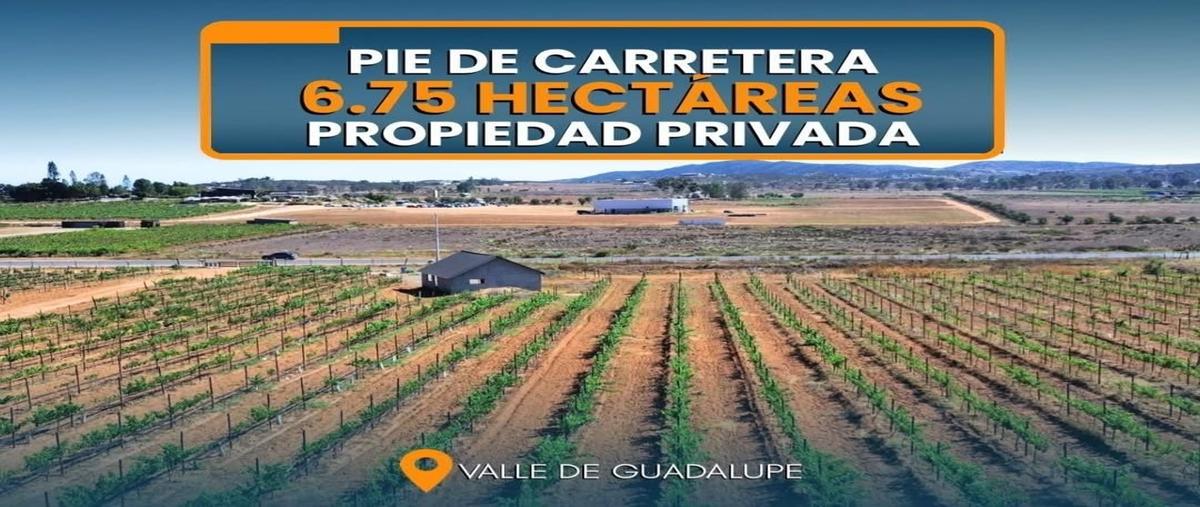 Foto de terreno habitacional en venta en  , el porvenir (guadalupe), ensenada, baja california, 0 No. 01