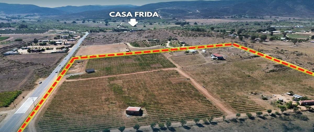 Foto de terreno habitacional en venta en  , el porvenir (guadalupe), ensenada, baja california, 0 No. 03