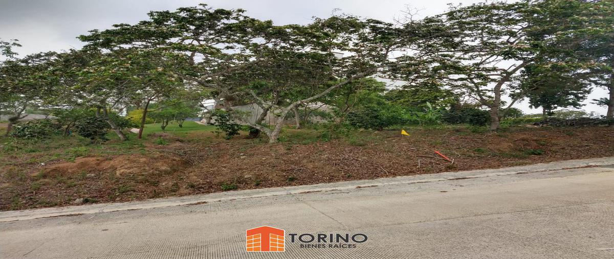 Foto de terreno habitacional en , el porvenir i, xalapa, veracruz de ignacio de la llave, 7218538 foto 01 Foto de terreno habitacional en venta en , el porvenir i, xalapa, veracruz de ignacio de la llave, 7218538 No. 01