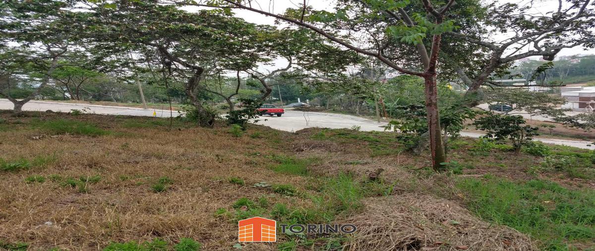 Foto de terreno habitacional en , el porvenir i, xalapa, veracruz de ignacio de la llave, 7218538 foto 03 Foto de terreno habitacional en venta en , el porvenir i, xalapa, veracruz de ignacio de la llave, 7218538 No. 03