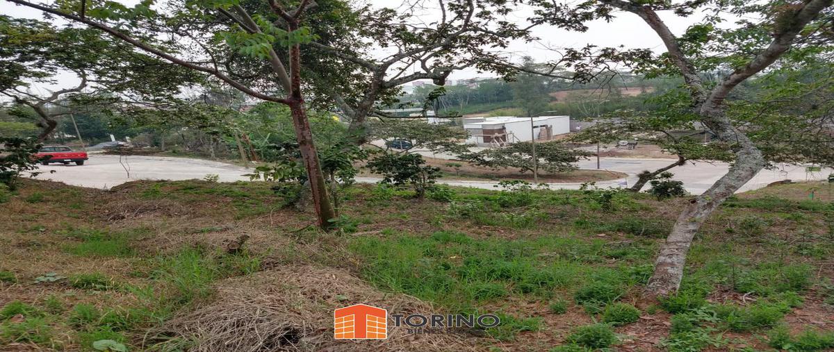 Foto de terreno habitacional en , el porvenir i, xalapa, veracruz de ignacio de la llave, 7218538 foto 04 Foto de terreno habitacional en venta en , el porvenir i, xalapa, veracruz de ignacio de la llave, 7218538 No. 04