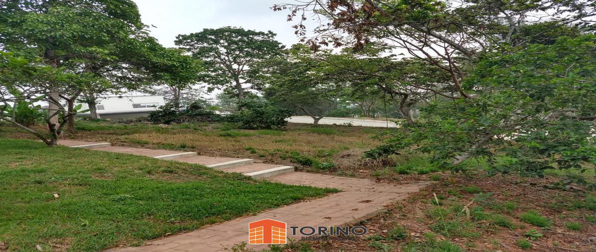 Foto de terreno habitacional en , el porvenir i, xalapa, veracruz de ignacio de la llave, 7218538 foto 05 Foto de terreno habitacional en venta en , el porvenir i, xalapa, veracruz de ignacio de la llave, 7218538 No. 05