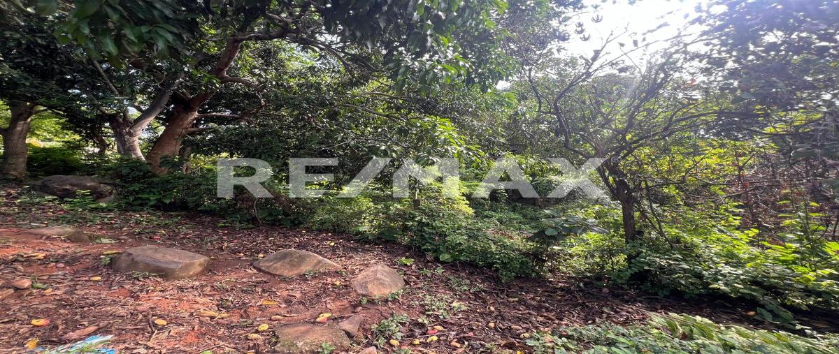 Foto de terreno habitacional en el porvenir s/n , el porvenir, tapachula, chiapas, 0 foto 05 Foto de terreno habitacional en venta en el porvenir s/n , el porvenir, tapachula, chiapas, 0 No. 05