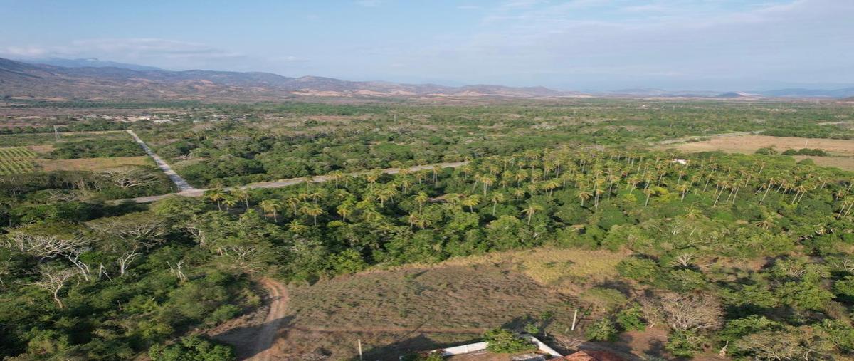 Foto de terreno habitacional en venta en  , el porvenir, técpan de galeana, guerrero, 24518629 No. 05