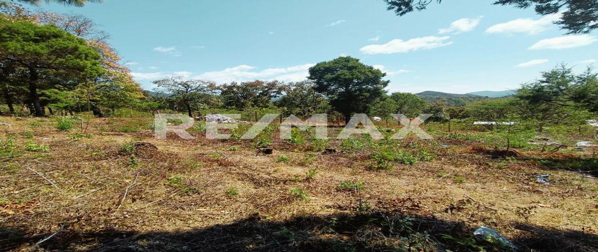 Foto de terreno habitacional en venta en el porvenir , teopisca, teopisca, chiapas, 0 No. 03