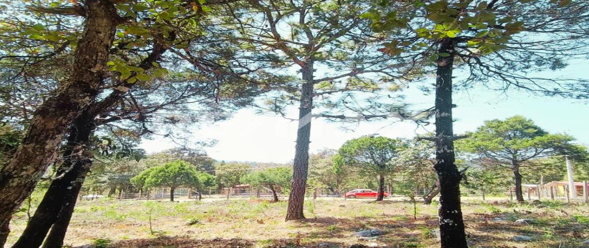 Foto de terreno habitacional en venta en el porvenir , teopisca, teopisca, chiapas, 0 No. 04