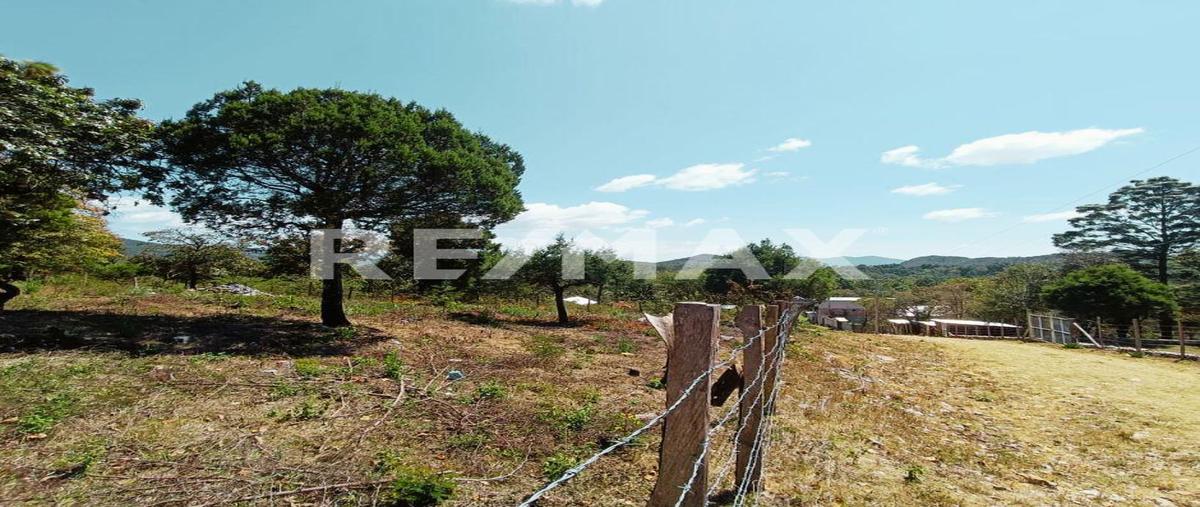 Foto de terreno habitacional en venta en el porvenir , teopisca, teopisca, chiapas, 0 No. 05