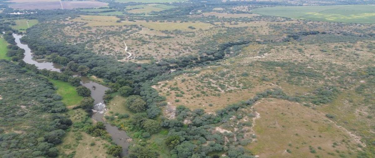Foto de rancho en el potrerillo o los jardines el potrerillo o los jardines, los gonzalez, villa hidalgo, jalisco, 0 foto 03 Foto de rancho en venta en el potrerillo o los jardines el potrerillo o los jardines, los gonzalez, villa hidalgo, jalisco, 0 No. 03