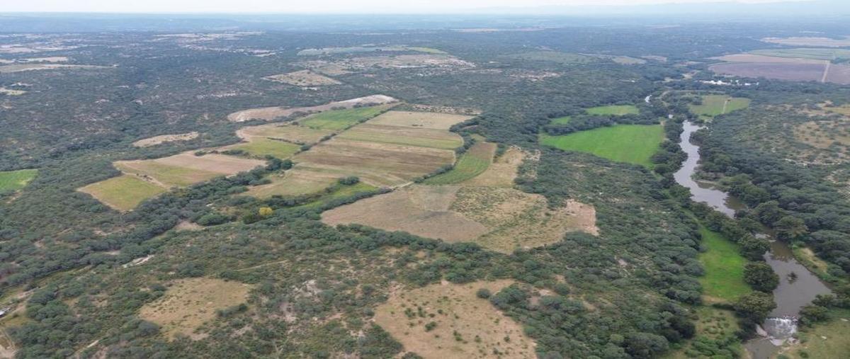 Foto de rancho en el potrerillo o los jardines el potrerillo o los jardines, los gonzalez, villa hidalgo, jalisco, 0 foto 04 Foto de rancho en venta en el potrerillo o los jardines el potrerillo o los jardines, los gonzalez, villa hidalgo, jalisco, 0 No. 04
