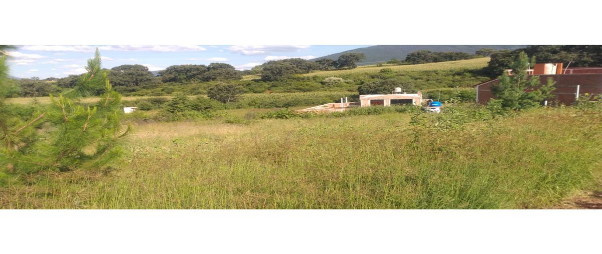 Foto de terreno habitacional en venta en  , el pozole (el amezcueño), jacona, michoacán de ocampo, 25602826 No. 03