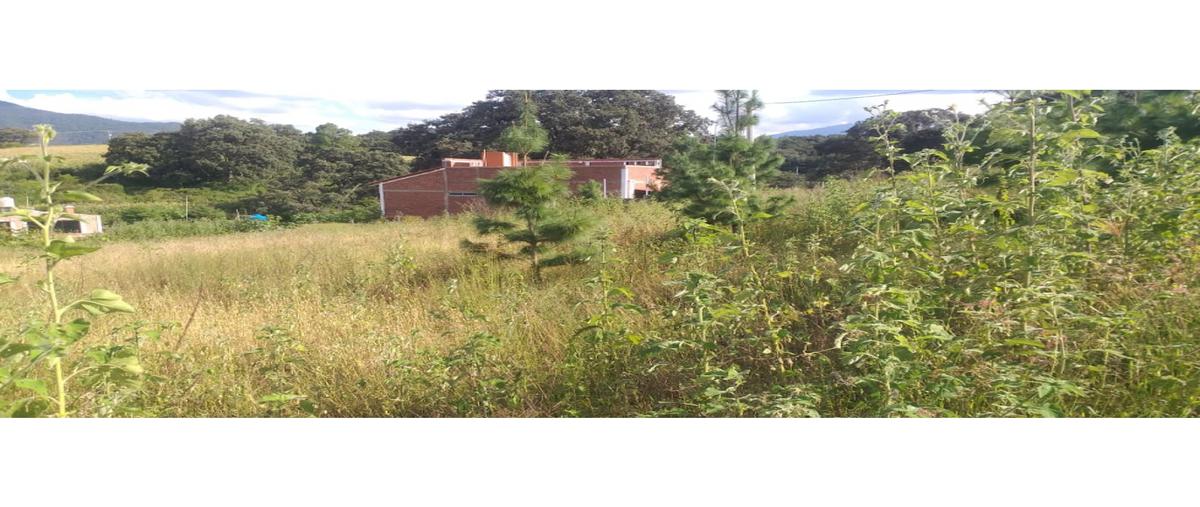 Foto de terreno habitacional en venta en  , el pozole (el amezcueño), jacona, michoacán de ocampo, 25602826 No. 04