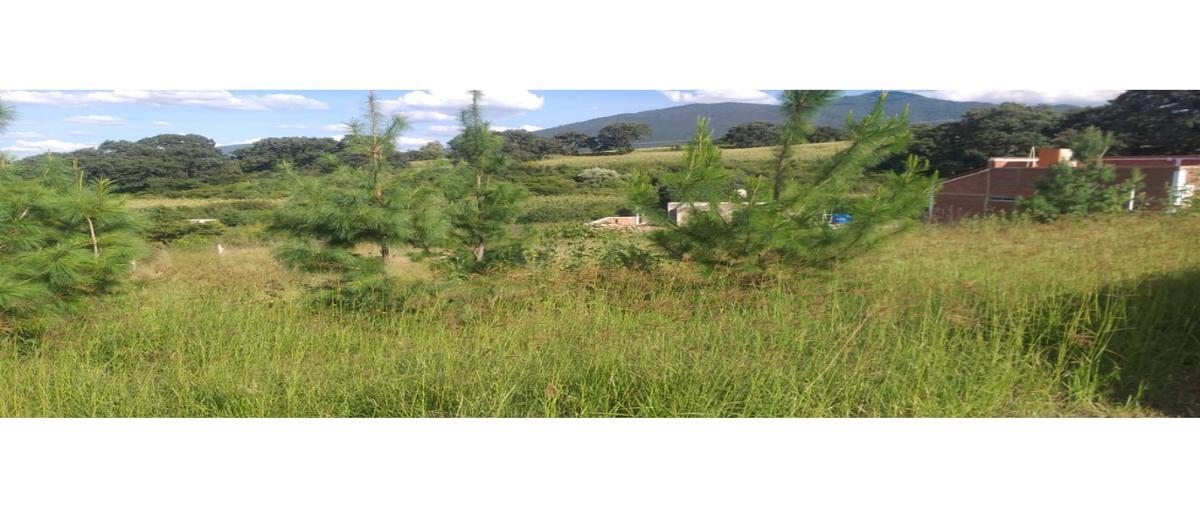 Foto de terreno habitacional en venta en  , el pozole (el amezcueño), jacona, michoacán de ocampo, 25602826 No. 05