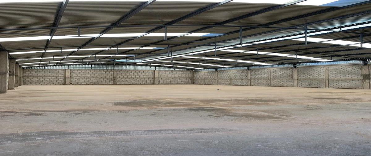 Foto de bodega en renta en  , el pretorio, dolores hidalgo cuna de la independencia nacional, guanajuato, 0 No. 03