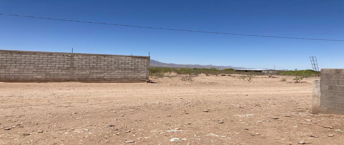 Foto de terreno habitacional en venta en  , el progreso, aldama, chihuahua, 27924139 No. 05
