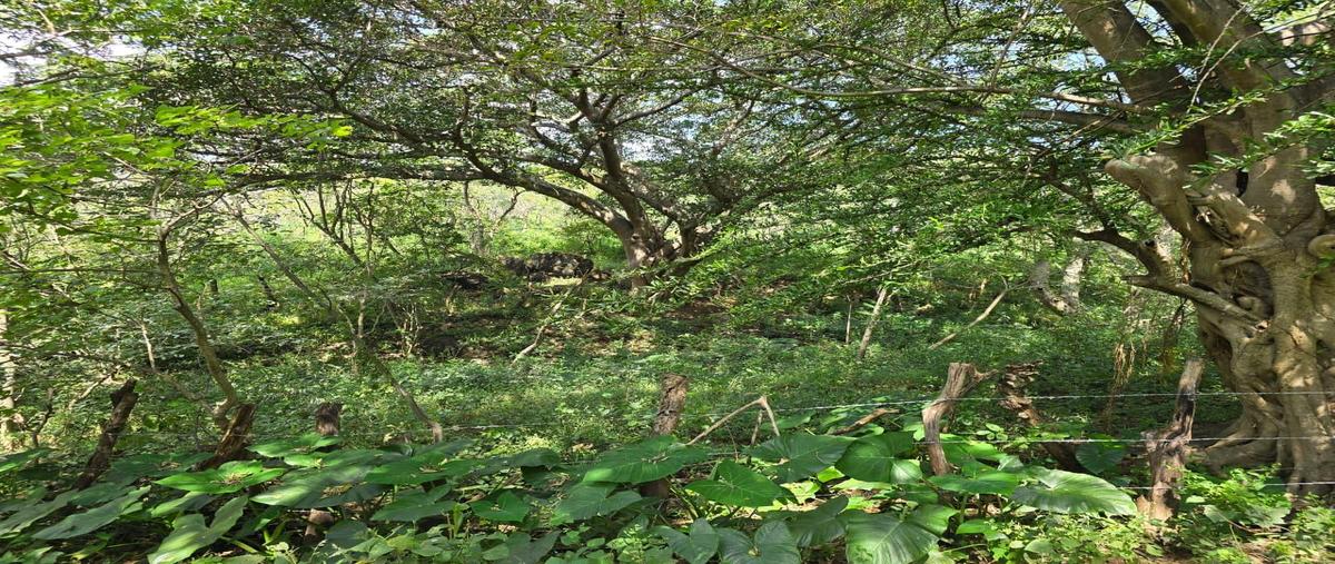 Foto de rancho en venta en  , el progreso de luvianos, luvianos, méxico, 0 No. 05