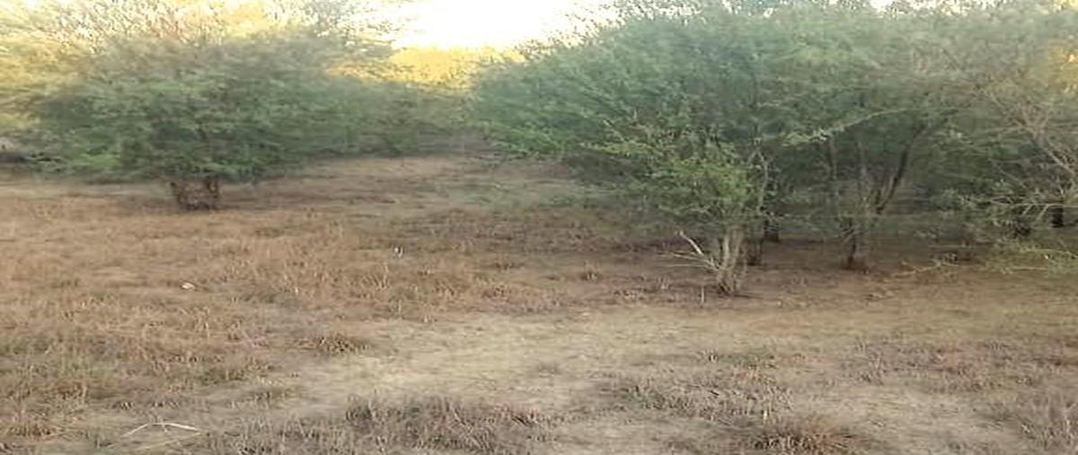 Foto de rancho en , el progreso, gonzález, tamaulipas, 27064289 foto 03 Foto de rancho en venta en , el progreso, gonzález, tamaulipas, 27064289 No. 03