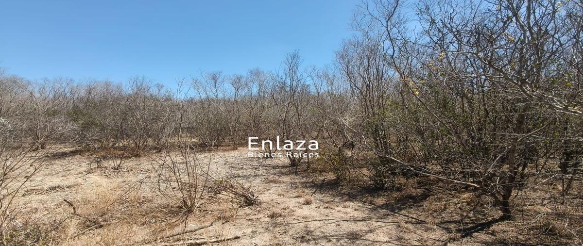 Foto de terreno habitacional en venta en  , el progreso, hidalgo, tamaulipas, 0 No. 03