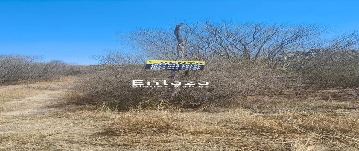 Foto de terreno habitacional en venta en  , el progreso, hidalgo, tamaulipas, 0 No. 05