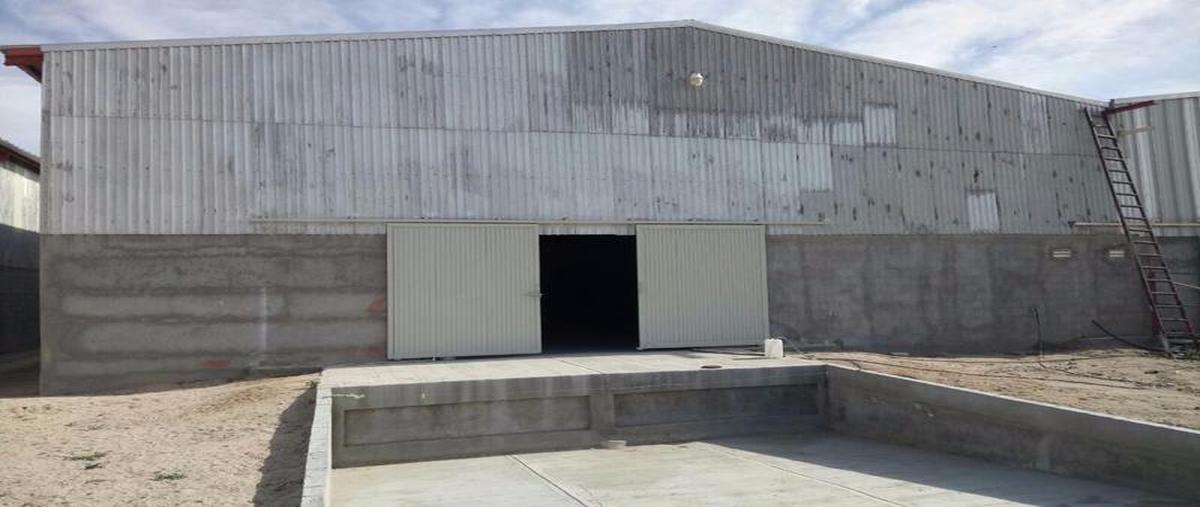 Foto de bodega en renta en  , el progreso, la paz, baja california sur, 30303065 No. 01