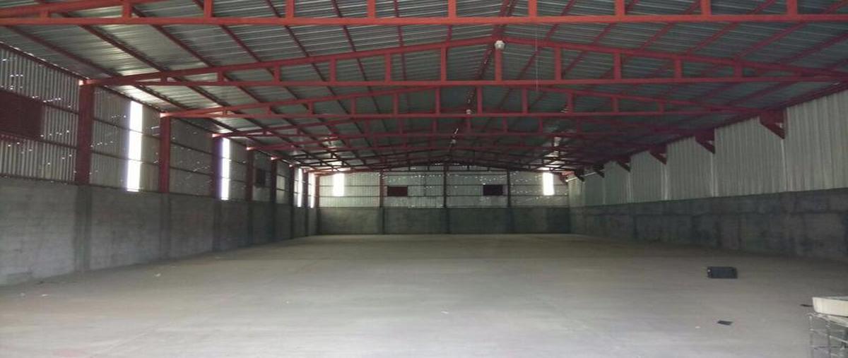 Foto de bodega en renta en  , el progreso, la paz, baja california sur, 30303065 No. 02