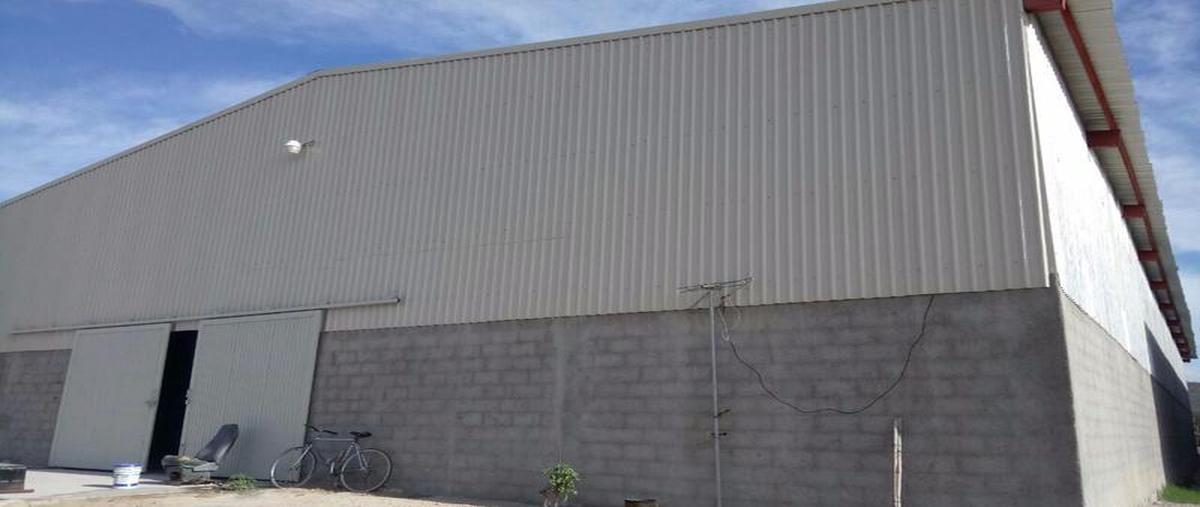 Foto de bodega en renta en  , el progreso, la paz, baja california sur, 30303065 No. 04