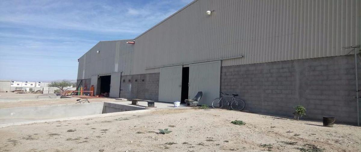 Foto de bodega en renta en  , el progreso, la paz, baja california sur, 30303065 No. 05
