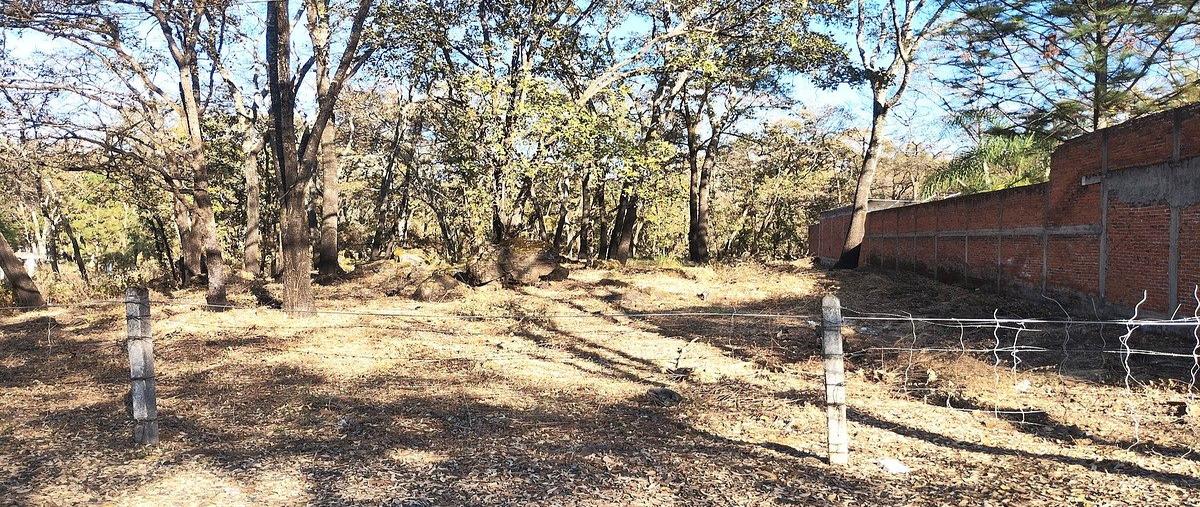 Foto de terreno habitacional en venta en  , el pueblito, zacapu, michoacán de ocampo, 0 No. 04