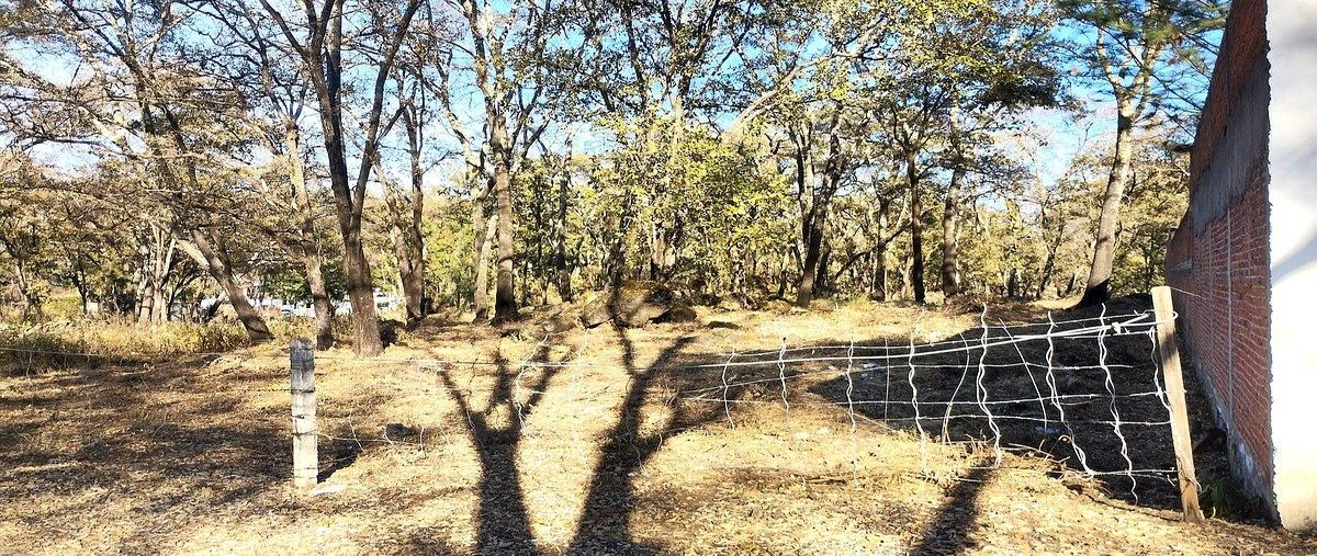 Foto de terreno habitacional en venta en  , el pueblito, zacapu, michoacán de ocampo, 0 No. 05