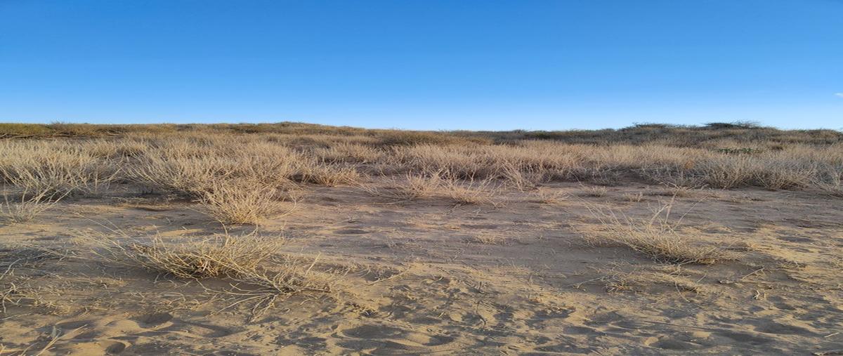 Foto de terreno habitacional en venta en el quelele , el centenario, la paz, baja california sur, 0 No. 04