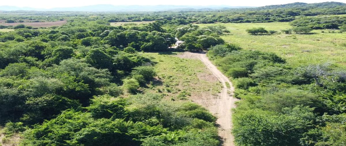 Foto de terreno habitacional en venta en  , el quelite, mazatlán, sinaloa, 25733695 No. 04