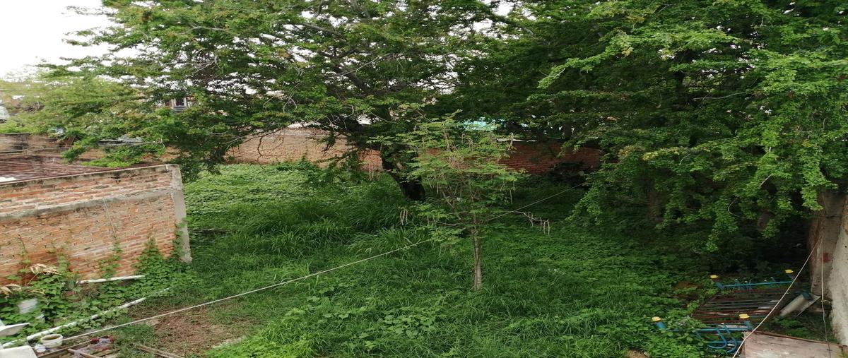 Foto de terreno habitacional en venta en  , el quince centro, el salto, jalisco, 0 No. 04