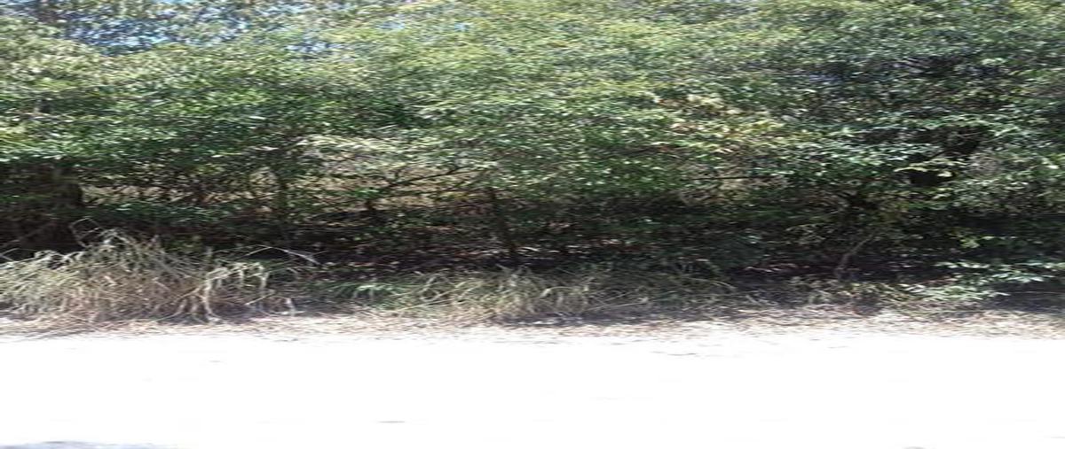 Foto de terreno habitacional en venta en  , el ranchito, santiago, nuevo león, 0 No. 05