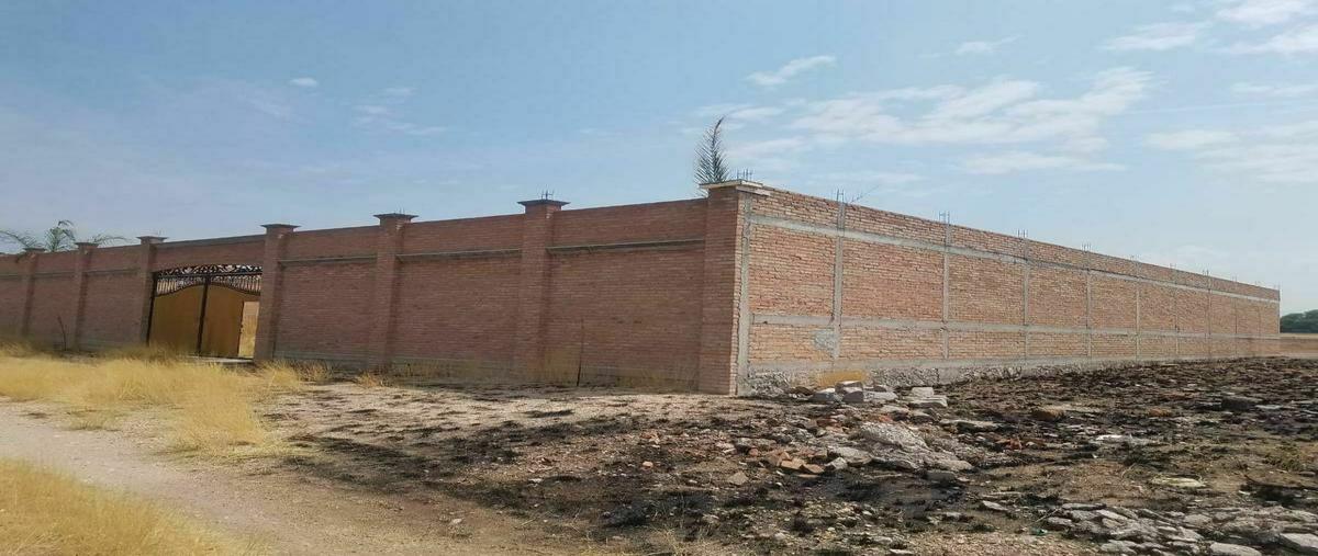 Foto de terreno habitacional en venta en  , el rayo, pabellón de arteaga, aguascalientes, 20487530 No. 03