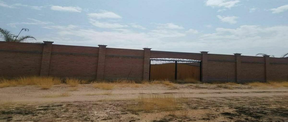 Foto de terreno habitacional en venta en  , el rayo, pabellón de arteaga, aguascalientes, 20487530 No. 04