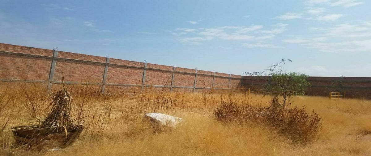 Foto de terreno habitacional en venta en  , el rayo, pabellón de arteaga, aguascalientes, 20487530 No. 05